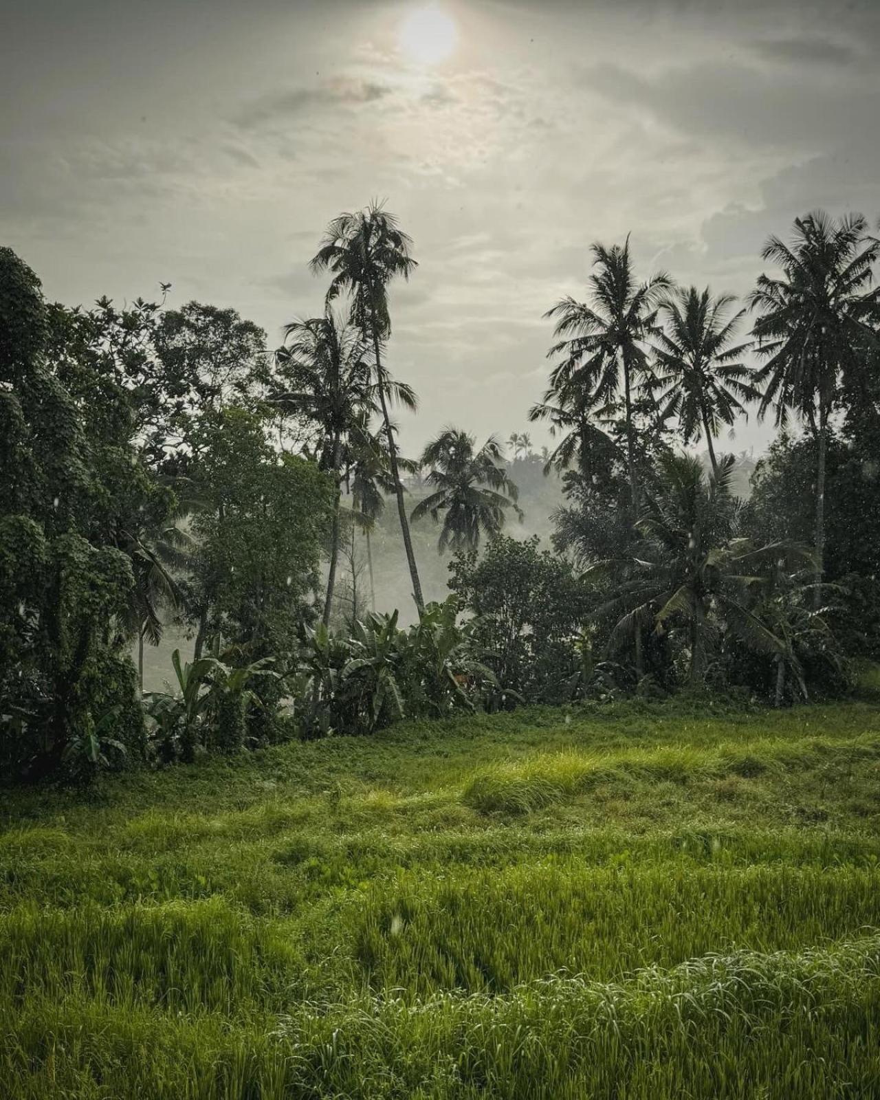 Nirwa Ubud Karma Exterior photo